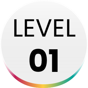 Level 01