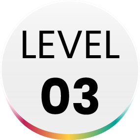 Level 03